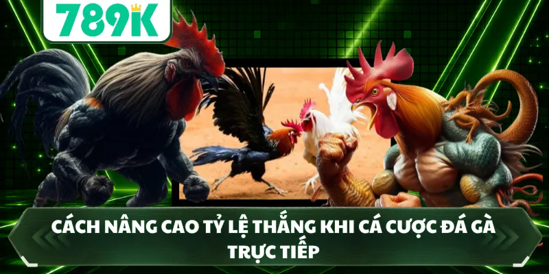 Cách nâng cao tỷ lệ thắng khi cá cược đá gà trực tiếp